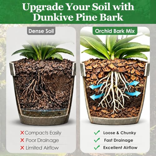 30 QT Organic Orchid Potting Bark, Natural Bark Growing Medium | For Orchids, Houseplant & Potted Plant, Improves Drainage, Root Health & Garden Soil Structure, Balanced Moisture Retention
