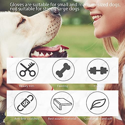 Animal Handling AntiBite Gloves for Dog Training Reptile Snake Handlers ScratchProof Bite Resistant Gloves with Reinforced Palm and Cotton Lining (L) - size: L