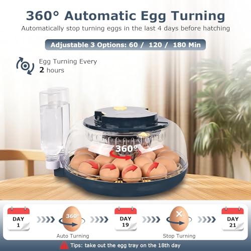 Incubators for Hatching Eggs, 18 Eggs Incubator with Egg Candler, Auto Egg Turner, Temp & Humidity Control, Hatch Day, Auto Water Refill, 2 Size Egg Tray, 360° Viewing for Chicken, Duck, Quail - size: 18 Eggs