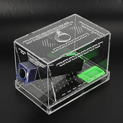 SUNGOOYUE Cricket Keeper Box, Acrylic Feeding Box with Water Food Tub, Clear Ventilated Lid and Waste Tray, 15x10x10cm for Reptile Terrarium Breeding Home Office (Small 26x5cm) - size: Small 26x5cm