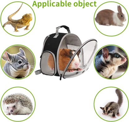 Guinea Pig Carrier,Guinea Pig Carrier for 2,Reptile Travel Carrier for Lizards Sugar Glider Hedgehog Rat Parrot Birds - color: Blue