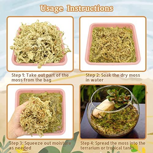 Riare 2.2LB Natural Sphagnum Moss for Reptiles- Terrarium Reptiles Moss | 50QT High Expansion, Moisture Retention, Long Fiber Dried Moss Bedding for Lepard Gecko Snakes Turtles Frogs Spiders - color: 2.2 LB