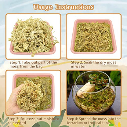 Riare 2.2LB Natural Sphagnum Moss for Reptiles- Terrarium Reptiles Moss | 50QT High Expansion, Moisture Retention, Long Fiber Dried Moss Bedding for Lepard Gecko Snakes Turtles Frogs Spiders - color: 2.2 LB