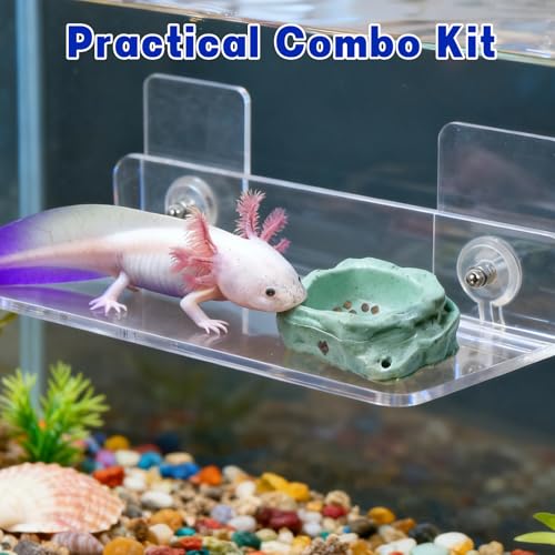 Axolotl Hammock Ledge for Aquarium with Feeding Dish and Feeding Tweezers，Axolotl Hammock with Ceramic Tray Feeder Bowl, Axolotls Accessories for Tank, Bearded Dragon Tank Accessories (7.8x3.9in)