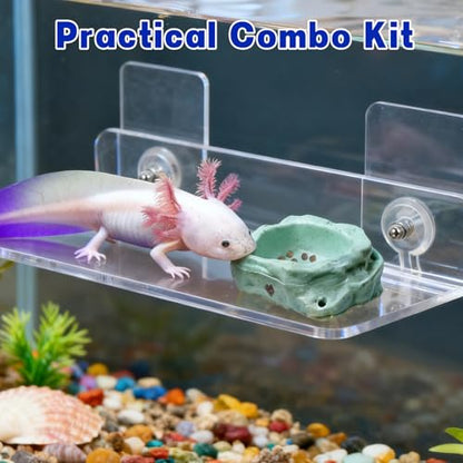 Axolotl Hammock Ledge for Aquarium with Feeding Dish and Feeding Tweezers，Axolotl Hammock with Ceramic Tray Feeder Bowl, Axolotls Accessories for Tank, Bearded Dragon Tank Accessories (7.8x3.9in)