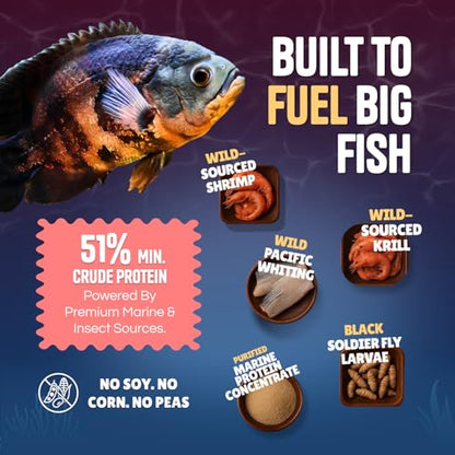 Pure Predator Cichlid Pellets | High Protein Cichlid Fish Food | Sinking Fish Food Pellets for Freshwater & Tropical Fish | Oscar & Large Cichlid Food | Aquarium Fish Food 3.5oz