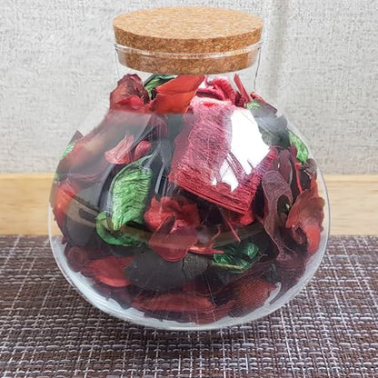 KALLORY Sealed Glass Plant Bottle with Cork Stopper for Miniature Ecosystems 15Cm X 16Cm Round Glass Terrarium Container for Home Garden Decor