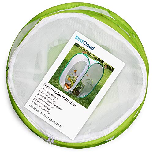 Insect and Butterfly Habitat Cage Terrarium Pop-up 12" x 14" Tall