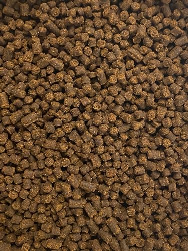 Juvenile Axolotl Soft Food PELLETS 2.4mm,Salamander,Frog,Newts,A282 (4oz) - size: 4 Ounce (Pack of 1)
