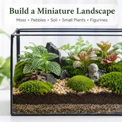 Glass Plant Terrarium with Lid, Rectangular Black Metal Frame Box for Indoor Plants, Clear Glass Container for Moss, Succulent, Fairy Garden, Tabletop Decor DIY Gift, 8.3”L x 4.7”W x 5.5”H - size: Large Rectangle