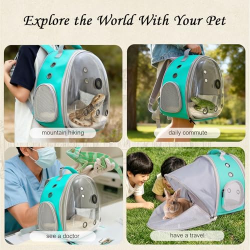 Back Extention Bearded Dragon Travel Backpack Carrier with Reptile Thermometer and Humidity Gauge Lizard Travel Cage Space Capsule Clear Bubble Window Astronaut Reptile Carrier Bag for Ball Python - color: Green