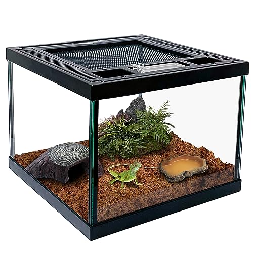 Mini Reptile Glass Terrarium Tank 8 * 8 * 6" Full View, Amphibians Habitat Enclosure Cage for Frog,Spiders,Dubia Cockroach,Praying Mantis,Cricket,Tarantula,Hermit Crab - size: 8*8*6inch