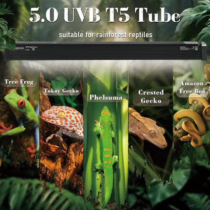 4W Reptile T5 HO UVB 6.5" 5.0 Light Fixture with Tube, Dedicated UVB Spot Hood for Terrariums, Suitable for Arid Reptiles Like Leopard Gecko - color: 5.0 Rainforest
