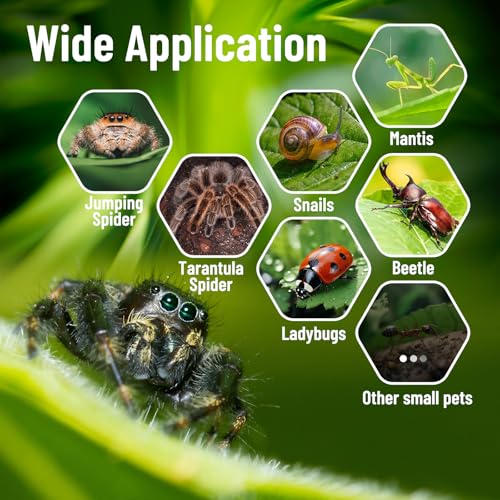 Jumping Spider Enclosure,DIY Insects Habitat,Small Reptile Terrarium Glass House Accessories Set,with Jumping Platform Hide Climbing Net(Green 2) - color: Green 2