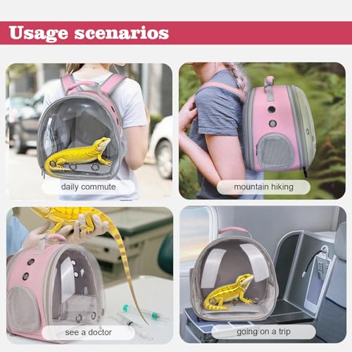 WEVONIGU Expandable Small Animal Backpack Carrier with Clear Bubble Window Large Space Travel Cage for Hedgehog Rat Parrot,Bearded Dragon,Sugar Glider,Airline Approved (Pink, BE Backpack) - color: Pink, size: BE Backpack