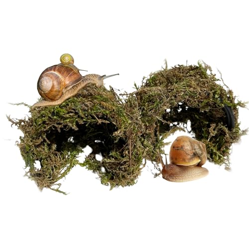 Snail Hideout for Pet Land Snails Snail Mansion – Natural Sphagnum Moss Shelter with Non-Toxic Plastic Core | Humid Hiding Spot for Snail Terrariums | Soft, Shell-Safe & Eco-Friendly Snail House