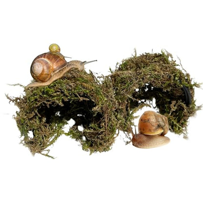 Snail Hideout for Pet Land Snails Snail Mansion – Natural Sphagnum Moss Shelter with Non-Toxic Plastic Core | Humid Hiding Spot for Snail Terrariums | Soft, Shell-Safe & Eco-Friendly Snail House
