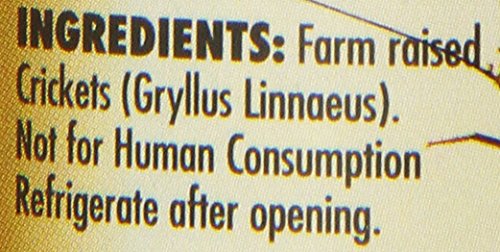 Zoo Med Laboratories SZMZM41 Can O Crickets Pet Food, 1.2-Ounce (Pack of 2) - size: 1.2 Ounce (Pack of 2)