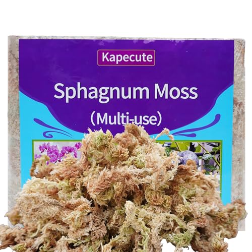 Sphagnum Moss 2.5 lb for Plant Propagation, Great Orchid Potting Mix, Help with Maintain Humidity - size: 2.5 lb