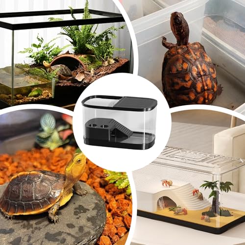 Reptile Enclosure Habitat Enclosure for Reptile | Gecko Terrarium Tank for Spider Chameleon Tarantula Bearded Dragon Frog Snack Gecko Tortoise - color: Black