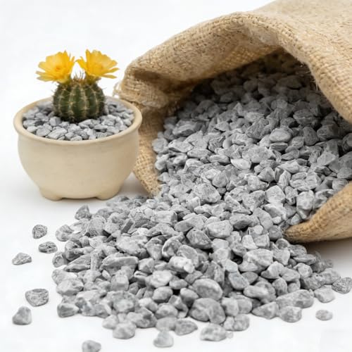 1/8 Inch Aquarium Gravel, Small Pebbles for Fish Tank & Indoor Plants, Natural Mini River Rocks for Succulent Soil Mix, Drainage, Terrarium & Vase Filler - Gray, 12 lb - color: Gray, size: 12LB
