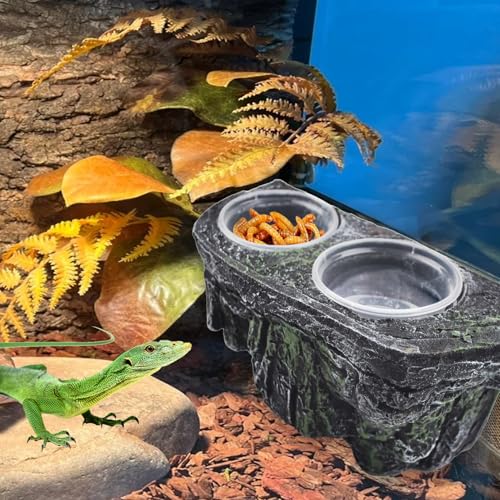 PINVNBY Reptile Feeding Ledge with Suction Cups,Crested Gecko Feeder Ledges with 2 Pcs Water & Food Bowls Double Lizard Dish Bearded Dragon Tank Accessories for Geckos Chameleon Spider Snake - size: 【1 PCS】