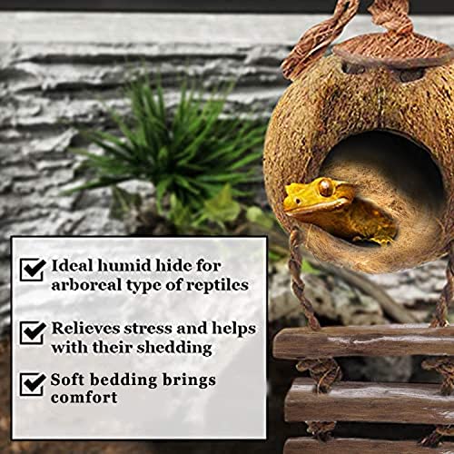 SunGrow Leopard Gecko Coconut Husk Hut with Ladder and Coco Fiber Bedding, with Shell Opening, 2.5” Opening Diameter, Cave Habitat with Hanging Loop, 1.5 oz Fiber Bedding