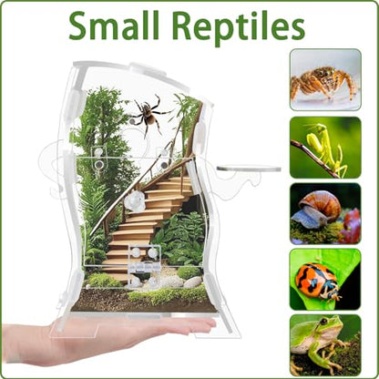 Jumping Spider Enclosure Kit (Clear or Black), 3.15x3.15x5.6 Inch Acrylic Terrarium with Magnetic Lock & Feeding Hole, Escape-Proof Mini Habitat for Tarantula, Mantis, Reptiles (Transparent Color-2)