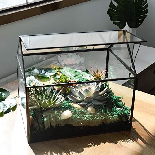 Black 1 Large Glass Plant Terrarium Kit with Lip Greenhouse for Succulents - color: Black 1