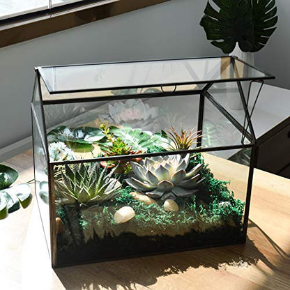 Black 1 Large Glass Plant Terrarium Kit with Lip Greenhouse for Succulents - color: Black 1