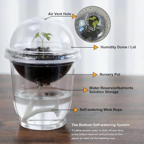 ORIMERC 30 Set Nursery Pots with Humidity Dome, Clear Nursery Pots with Drainage, Self Watering Small Plant Pots, Seedling Pots for Plants, Seed Starter Pots for Planting Vegetables Fruit Flower - size: 30 Pack
