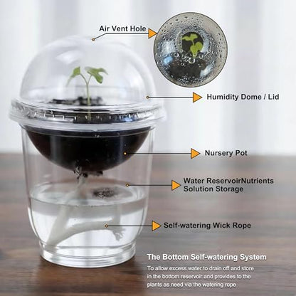 ORIMERC 30 Set Nursery Pots with Humidity Dome, Clear Nursery Pots with Drainage, Self Watering Small Plant Pots, Seedling Pots for Plants, Seed Starter Pots for Planting Vegetables Fruit Flower - size: 30 Pack