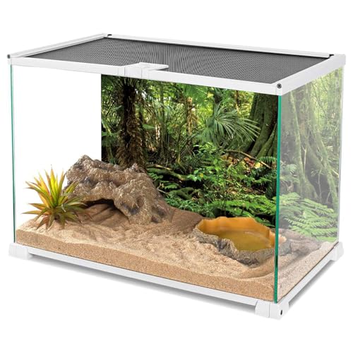 AWERT 48x24 inches Forest Terrarium Background Stone Green Huge Tree Reptile Habitat Background Tropical Rainforest Aquarium Background Durable Polyester Background - size: 48x24in/120x60cm