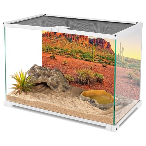 AWERT 30x18 in Terrarium Backdrop Desert Cactus Reptile Habitat Background | AWERT Sunset Sky Rocky Mountain Oasis Polyester Terrarium Background - size: 30x18in/75x45cm