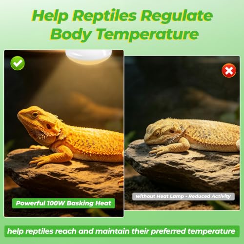 LUCKY HERP Reptile Heat Lamp Bulbs 50W, UVA Daylight Basking Bulbs 2 Pack | Fast Heating, Simulates Natural Sunlight, Ideal for Bearded Dragons Geckos Lizards Turtles Chameleons Amphibians Chickens - size: 50