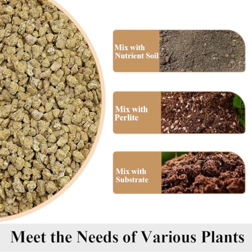 Succulent and Cactus Maifanitum Stones Garden Accessorie Rocks Pumice for Indoor Plants, Bonsai, Fairy Gardening, Vases Fillers, Terrarium, 2lb - color: Maifanitum Stones, size: 2 Pounds