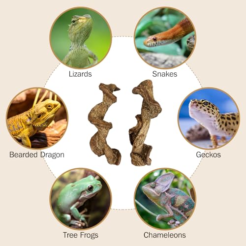 Reptile Climbing Decor 1.8-2.2" Thick Wood Branches Snake Habitat Decorations Terrarium Wooden Tree Trunk Ornament for Bearded Dragon Lizard Geckos Chameleon Frog (11.8 inches) - size: 11.8 inches (2 Pack)