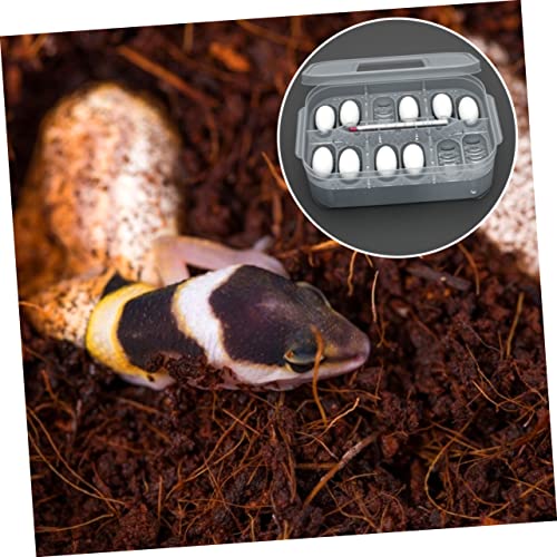Reptile Incubation Hatchery Box Transparent Incubator for Geckos Snakes and Lizards Lightweight and Easy to Clean Hatching Container for Breeding Reptiles