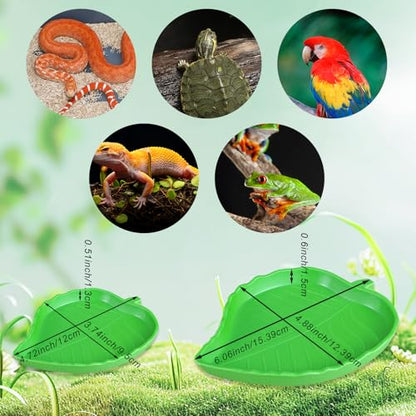 3PCS Reptile Water Pool with Ramp, Turtle Pool Reptile Food Water Bowls Aquarium Habitat Accessories for Gecko, Snake, Turtle, Bearded Dragon, Lizard Bath