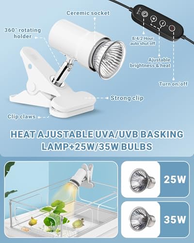 GOZILLA Small Turtle Tank Kit(Tank+Lamp+Filter), Acrylic Aquarium Turtle Starter Kit Habitat with Multi-Functional Areas for Small Reptiles. (White Kit)