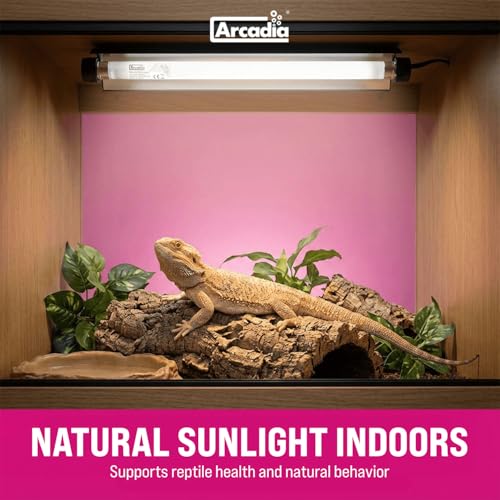 Arcadia T5 UVB Reptile Light Fixture Kit 12" Long 8 Watts 7% UVB ShadeDweller – Complete UVB Light for Reptiles, Turtles, Snake, Bearded Dragon Lamp, Long Lasting Easy to Use Professional Lighting