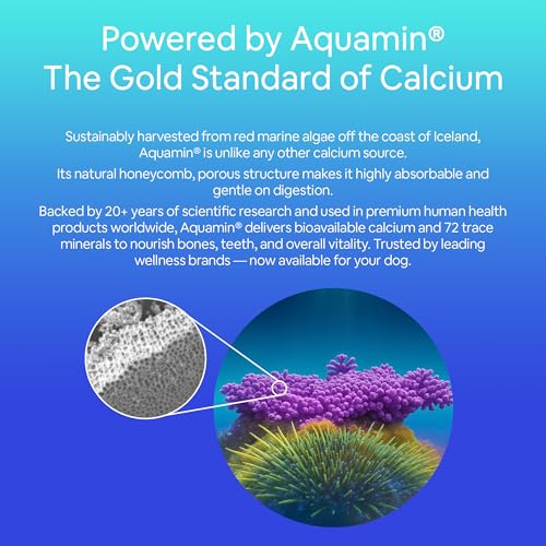 Seaweed Calcium Powder for Dogs and Cats - Vet Recommended Calcium Supplement for Dogs with 72 Trace Minerals, Wild Icelandic Marine Algae for Strong Bones, Teeth, Joints and Muscles, 14oz