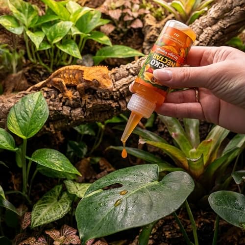 CTWPets Liquid Crested Gecko Treat & Food Topper, Mango Papaya, 2 fl oz | Mango papaya liquid gecko treat for crested, gargoyle and day geckos; use as a water additive, food topper or CGD mixer - size: 2 Fl Oz (Pack of 1)