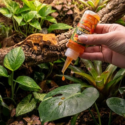 CTWPets Liquid Crested Gecko Treat & Food Topper, Mango Papaya, 4 fl oz | Value-size mango papaya gecko nectar for crested geckos; use as a liquid treat, water additive, food topper or CGD mixer - size: 4 Fl Oz (Pack of 1)