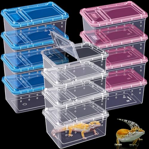 Novabright 12 Pcs Plastic Reptile Terrariums with Vented Holes, Snake Breeding Box Hatching Container for Spider Turtle Tarantula Scorpion Lizard Gecko (6.5 x 4.53 x 2.56 Inch)