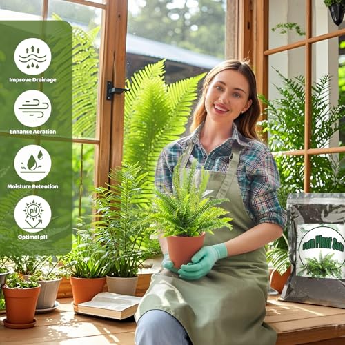 Doter Potting Soil Mix for Fern 2qt, Custom Hand Blended Mixture Suitable for Indoor/Outdoor Potted Fern Plant - size: 2qt