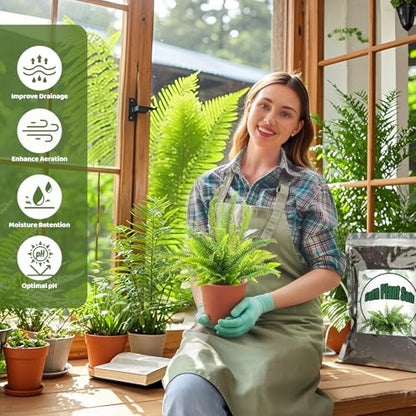 Doter Potting Soil Mix for Fern 1qt, Custom Hand Blended Mixture Suitable for Indoor/Outdoor Potted Fern Plant - size: 1qt