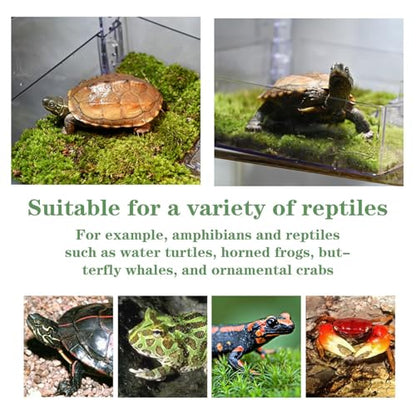 Turtle Basking Platform, Non Toxic Floating Ramp for Aquatic Turtles, Slip Resistant Surface, Easy to Clamp, Durable Tank Decor for Reptile Habitats, Terrarium Accessories