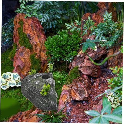 Toddmomy Turtle Basking Platform Climbing Ramp and Floating Island Natural Habitat Decor for Aquariums Resting Terrace for Tortoises and Reptiles Physical Activity and Reduces Stress