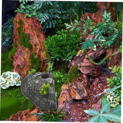 Toddmomy Turtle Basking Platform Climbing Ramp and Floating Island Natural Habitat Decor for Aquariums Resting Terrace for Tortoises and Reptiles Physical Activity and Reduces Stress